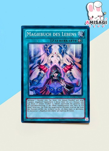 Libro magico della - -,