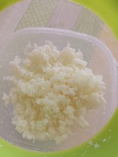 fermenti lattici vivi per
