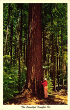 Portland O Incrociatore in