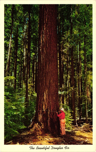 Portland incrociatore in - portland, o