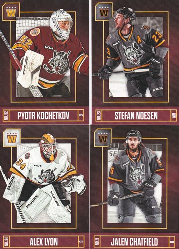 2021 chicago wolves ahl - chicago,