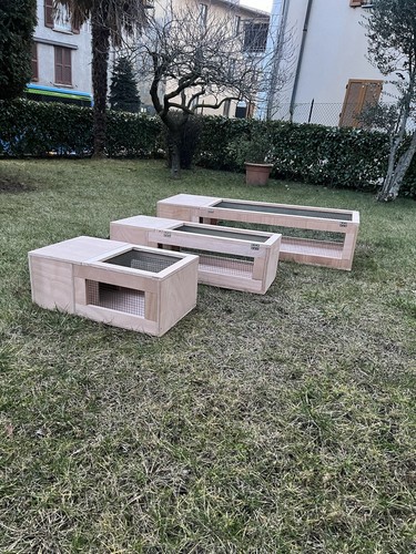 Terrario legno - in,