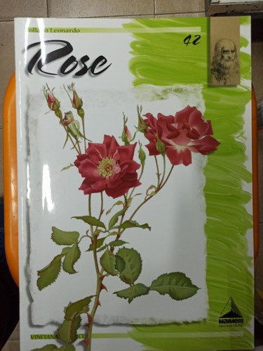 Rose collana leonardo - n°42,