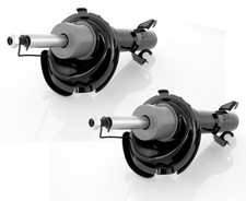 Coppia Ammortizzatori a Gas