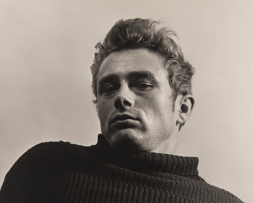 James dean photo 8x10 - dean,