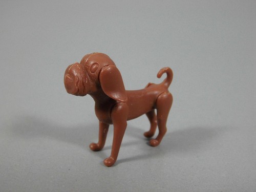 Animali hune con orecchie - animali:,
