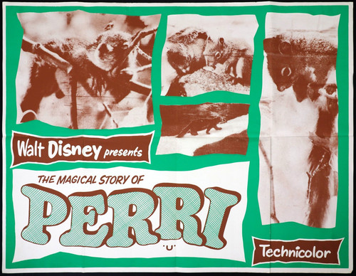 Story perri original quad - story,