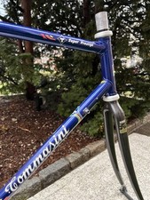 Telaio Tommasini 55 cm Campagnolo Dropouts Look senza fili sterzo forcella carbonio