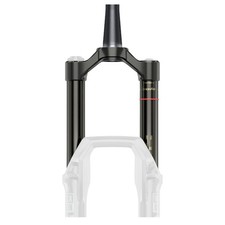 Forcella csu domain - forcella,