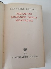Segantini romanzo della