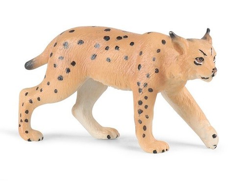 Caracal gatto animale - caracal,