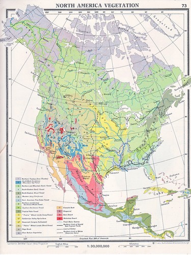 1961 mappa vegetazione nord - 1961, ~