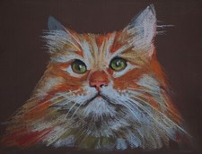 Quadro gatto rosso con