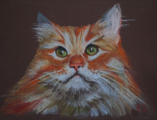 Quadro gatto rosso - , con