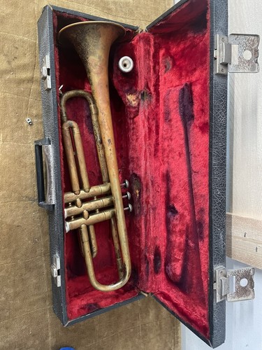 Filicorno soprano cornetta - filicorno, a