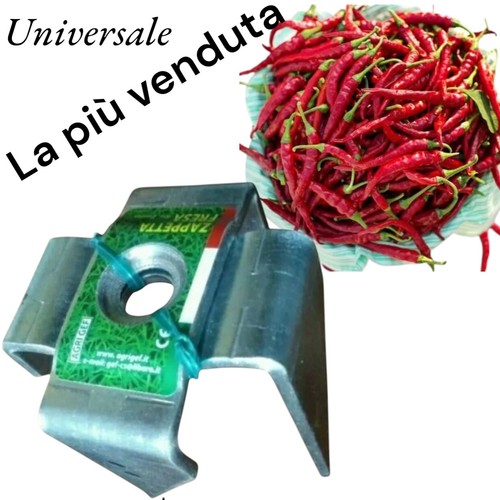 Testina zappetta fresa