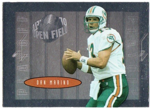 1996 playoff contenders - playoff, open