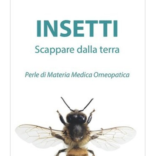 Libro insetti scappare dalla - libro,