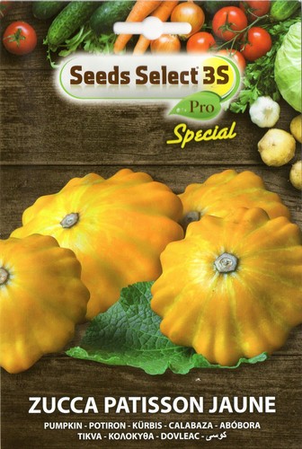 Semi seeds zucca patisson - /,