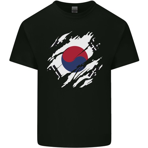 Torn corea del sud bandiera - corea,