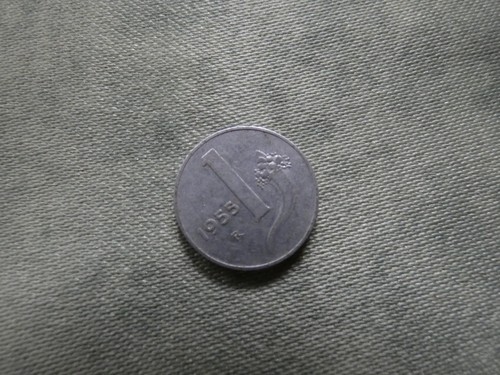 Moneta italia cent lira 1955 - moneta,