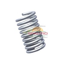 Ammortizzatore/Molla Serbatoio