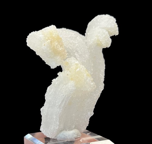 Selenite forma di - selenite,