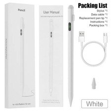 Penna stilografica per iPad