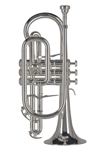 Strumenti musicali vari - -,