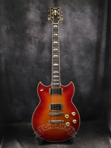 Chitarra elettrica solida