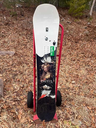 Capita birds feather - birds, a