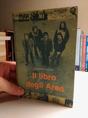 Domenico coduto il libro - domenico,