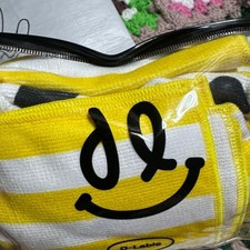BIGBANG D LITE DSROAD Tour