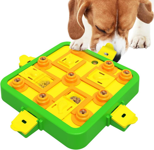 Giochi cani intelligenza - cani,
