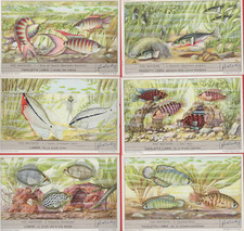 FIGURINE LIEBIG SERIE COMPLETA