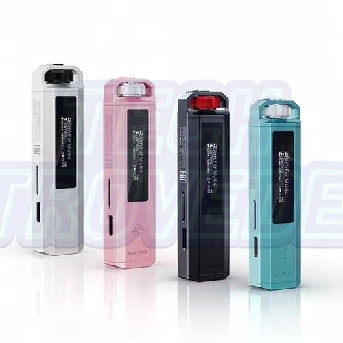 Nuovo fiio snowsky echo nano - snowsky,