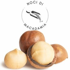 Noci di Macadamia in guscio tostate incise 3kg frutta secca disidratata naturale