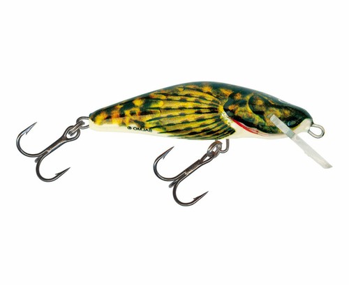 Salmo bullhead esche - salmo,