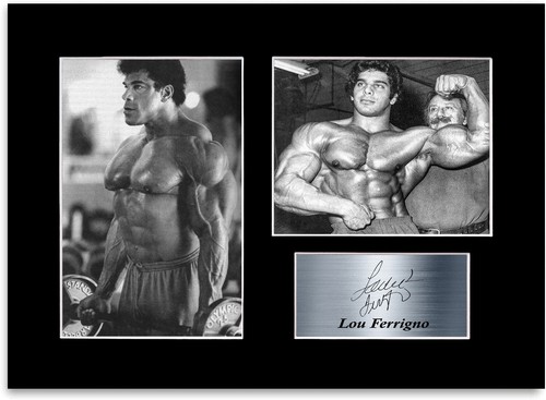 Lou ferrigno signed photo - lou,