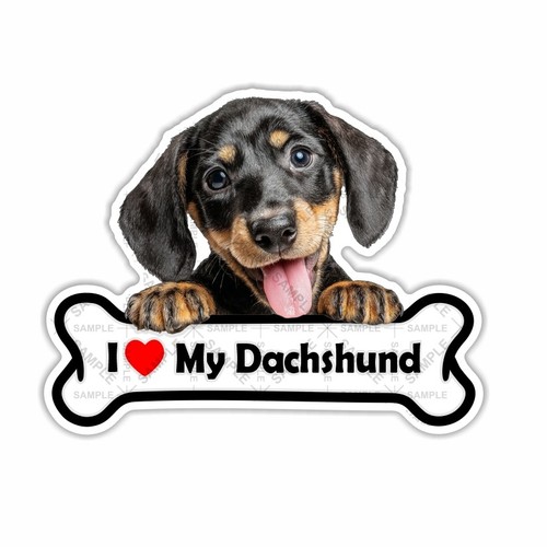 Love bachshund adesivo - love,
