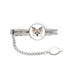 Chihuahua a pelo lungo spina