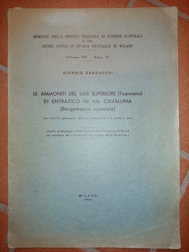 Ammoniti del lias - le,