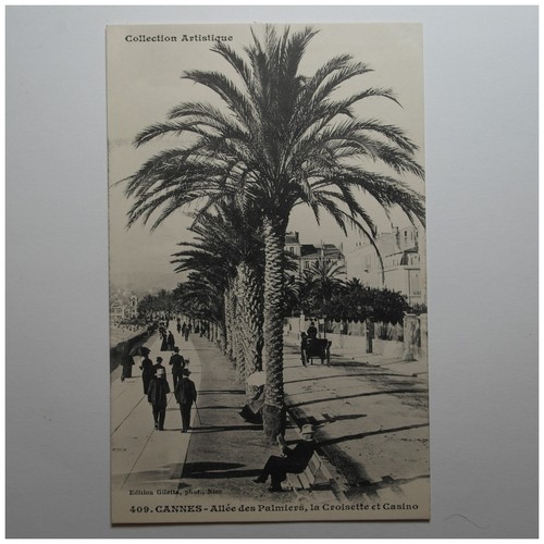 Cannes allée des palmiers - cannes,