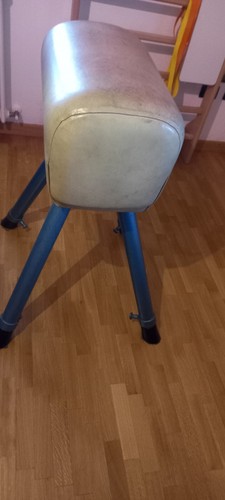 Cavallina ginnastica volteggio - ginnastica,