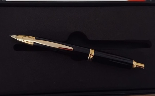 Penna stilografica pilot - stilografica,
