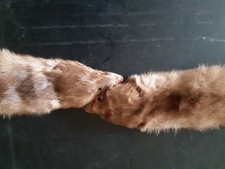 Stola di pelliccia di visone