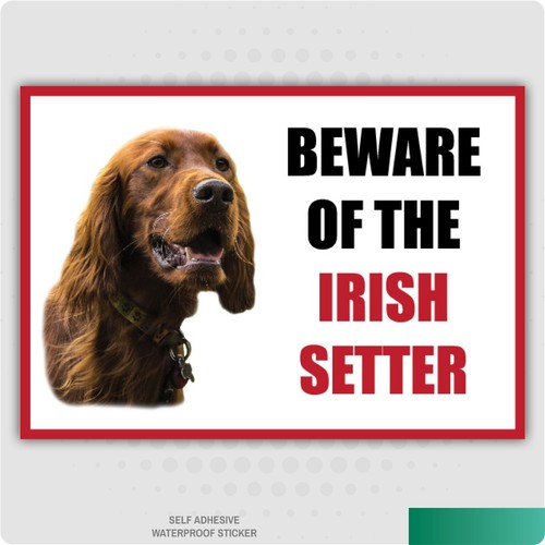 Funny beware the irish - funny, of