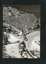 CARTOLINA PANCHIA' VALLE DI