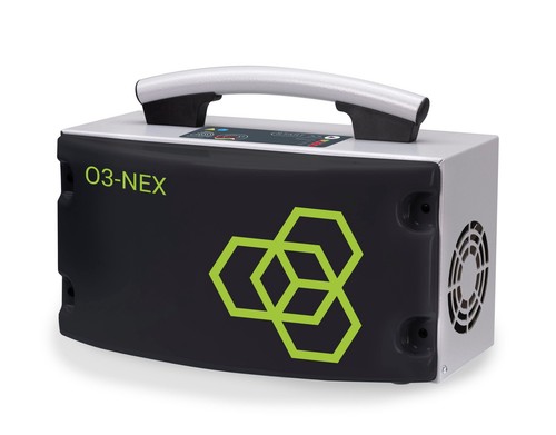 Brain bee nex - brain, o3-nex