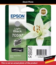 C13T05974010 Epson Stylus Photo R2400 inchiostro chiaro nero